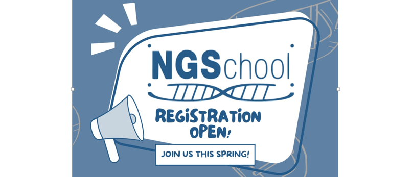 NGSchool